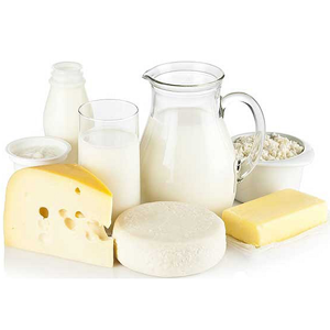 dairy-product-manufacturing-miniplant